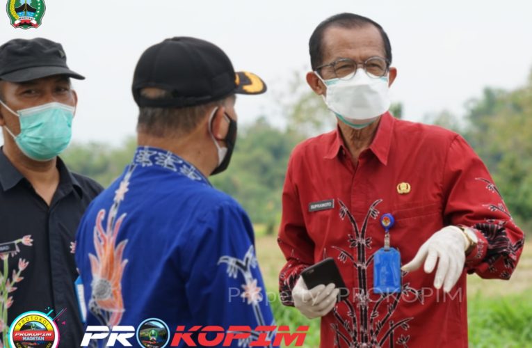 Memudahkan Akses Kesehatan, Puskesmas Akan Dikembangkan