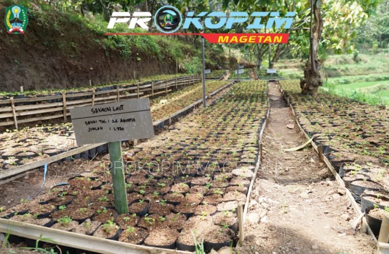 Dinilai Mampu Makmurkan Rakyat, Rencanakan Pembibitan Hutan Jati Desa Sayutan.