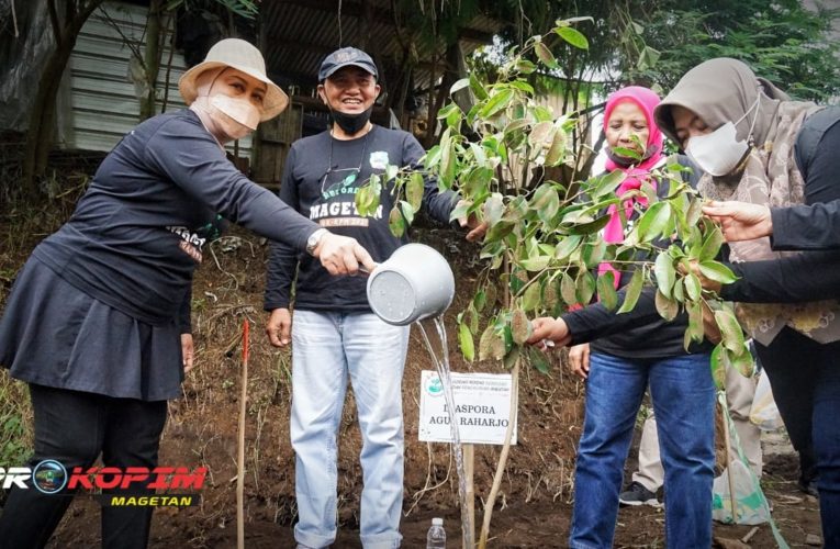 HIJAUKAN KEMBALI DEMI MASA DEPAN BUMI KITA