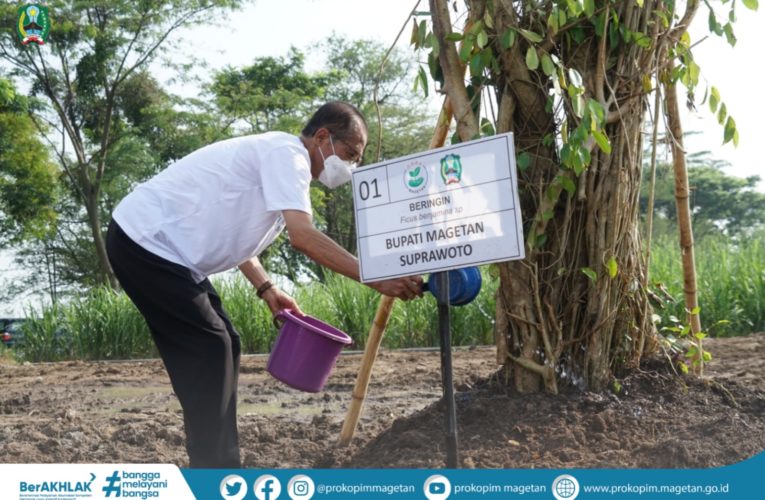 Gotong Royong Reboisasi dan Penghijauan Magetan