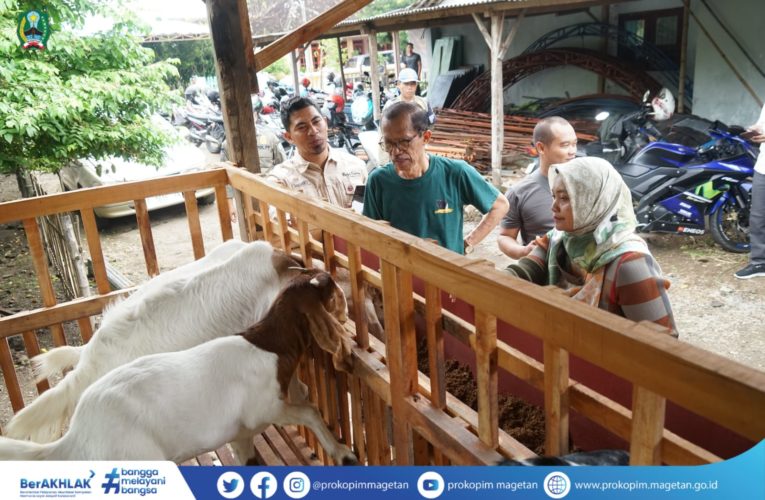 SEKOLAH TERNAK ‘RAJA FARM’; COBA BANGUN KEMANDIRIAN EKONOMI MELALUI SEKTOR PETERNAKAN KAMBING