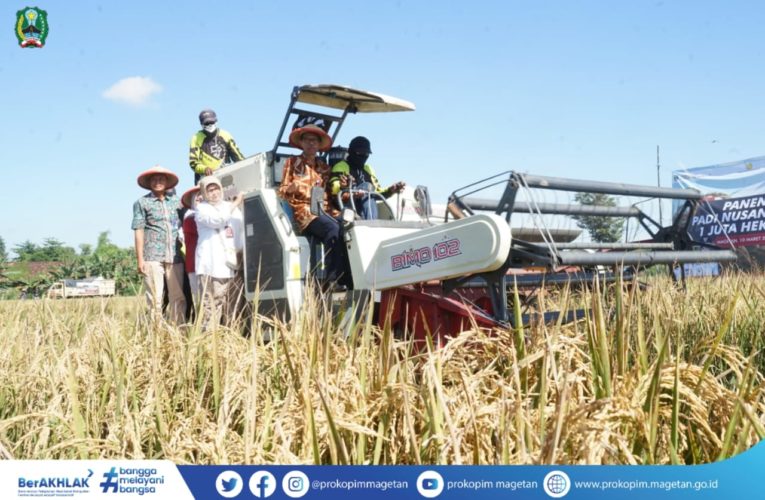 Panen Raya Padi Telah Tiba, Magetan Surplus Beras