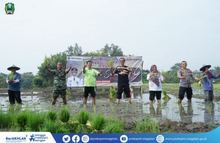 JAMIN KETERSEDIAAN BERAS MELALUI PENANAMAN PADI IP400