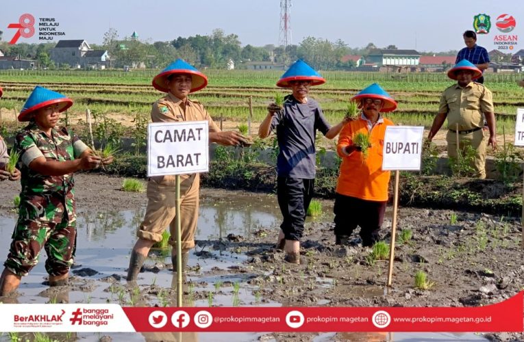 Bupati Suprawoto Tanam Padi Bersama Petani Desa Rejomulyo