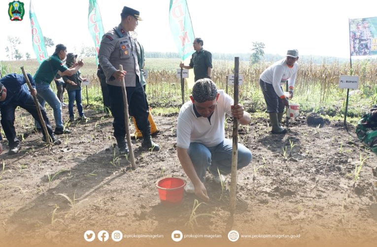 Dukung Program Ketahanan Pangan Nasional, Pj. Bupati Magetan Hadiri Penanaman Perdana Jagung Di Wilayah Kodim 0804/Magetan