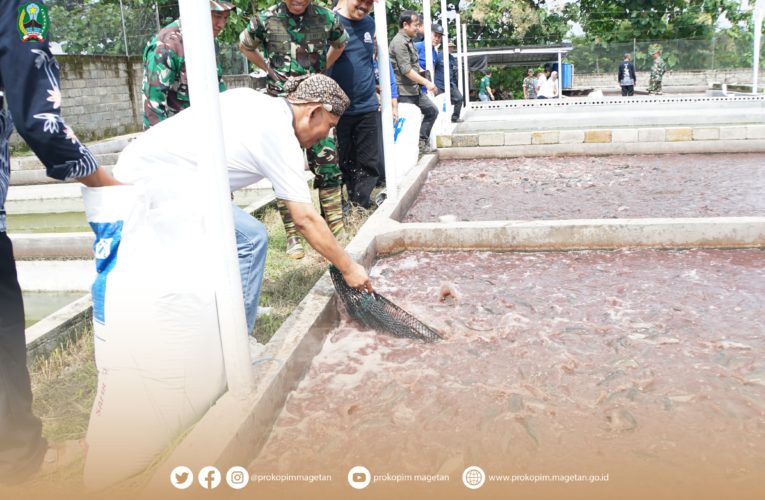 Pj. Bupati Magetan Meninjau Budidaya Ikan Lele Mina Karya Desa Tapen, Lembeyan
