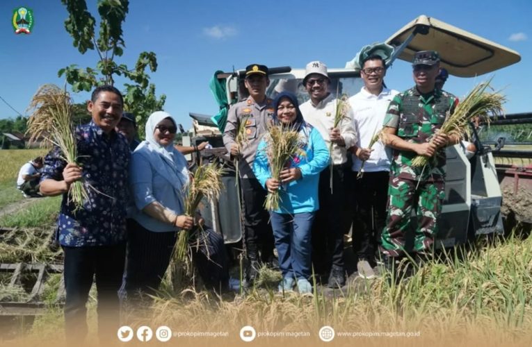 Panen Raya Padi Serentak di 14 Provinsi Bersama Presiden RI