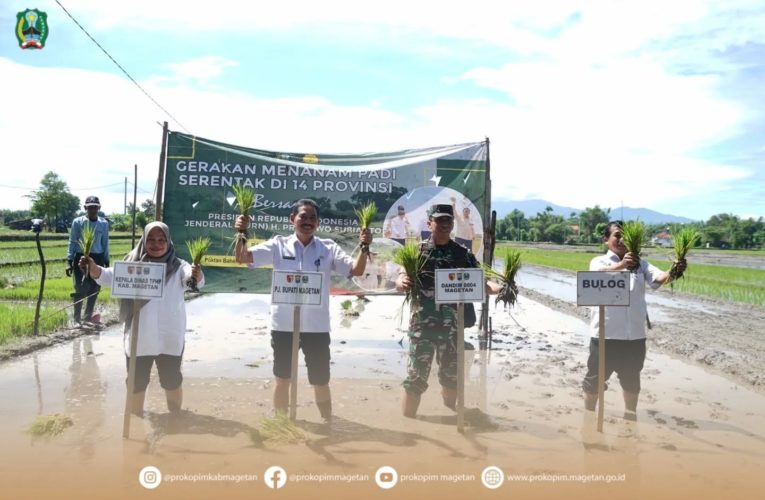 GERAKAN TANAM PADI SERENTAK 14 PROVINSI BERSAMA PRESIDEN RI.