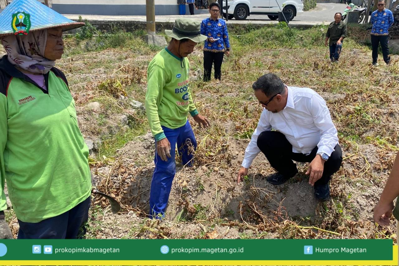 Wakil Bupati Magetan Temui Petani Kentang Desa Pacalan, Bantu Urai Masalah