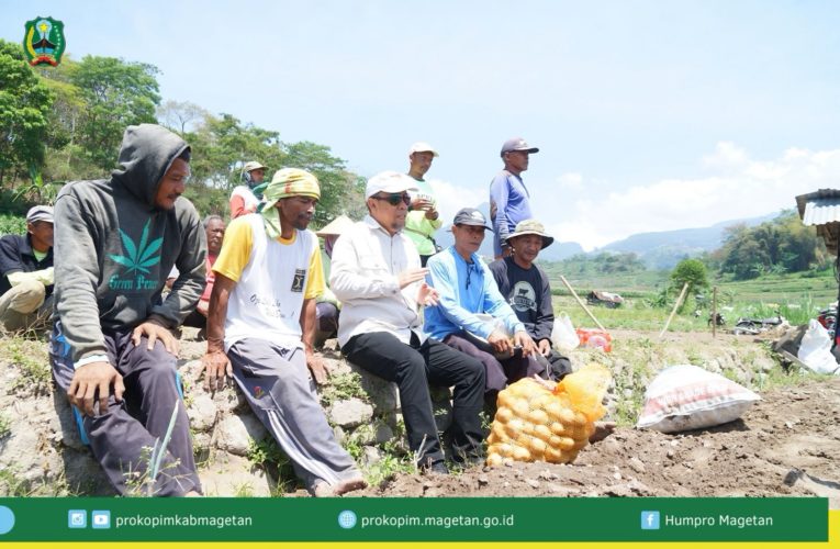 Panen Kentang Petani Magetan Terselamatkan Berkat Intervensi Pemerintah Daerah
