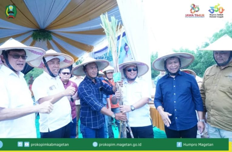 Wakil Bupati Magetan Tanam Tebu bersama Petani Bendo