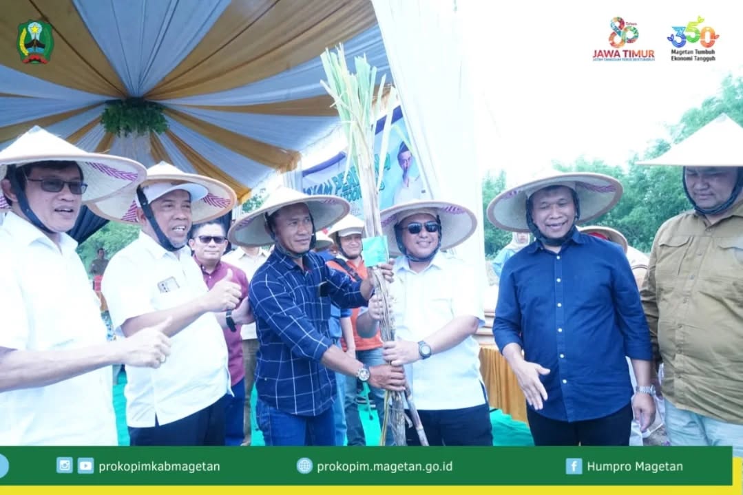 Wakil Bupati Magetan Tanam Tebu bersama Petani Bendo