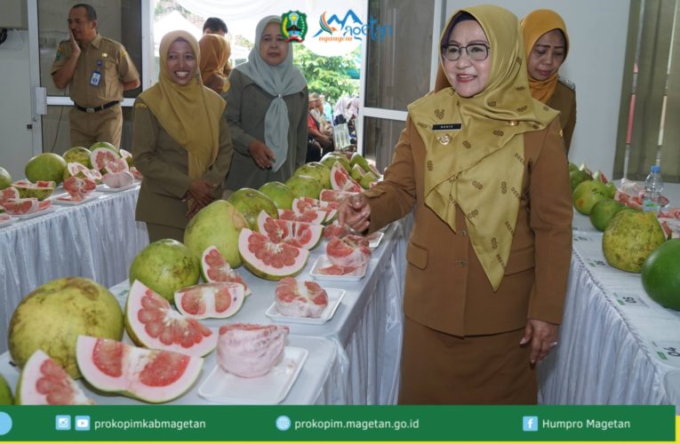 Bupati Magetan Serahkan Alsintan dan Tinjau Festival Pamelo 2026