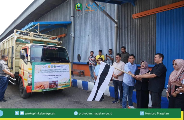 Harga Pakan Naik, Bapanas Salurkan 7.700 Ton Jagung ke Peternak Magetan
