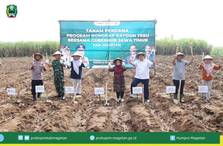 Tanam Perdana Program Bongkar Ratoon Tebu di Jawa Timur tahun 2026 bersama Gubernur Jawa Timur.