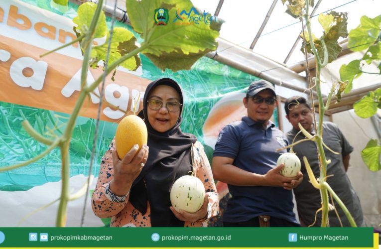 Kunjungan Bupati, Rangsang Agribisnis Di Magetan Makin Meningkat