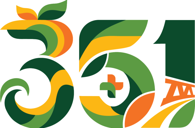 Official logo hari jadi ke-351 Kabupaten Magetan silakan unduh di link berikut :